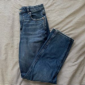 American Eagle curvy mom jean (size 10)